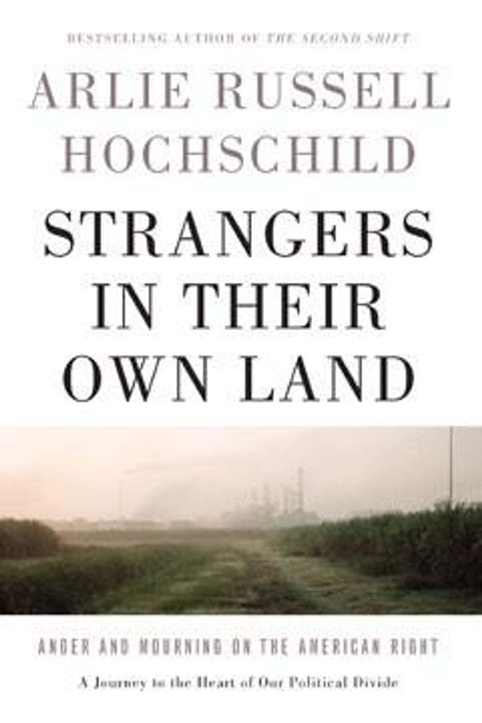 Arlie Russell Hochschild, Strangers in their Own Land:  Anger and Mourning on the American Right (New Press, 2016)