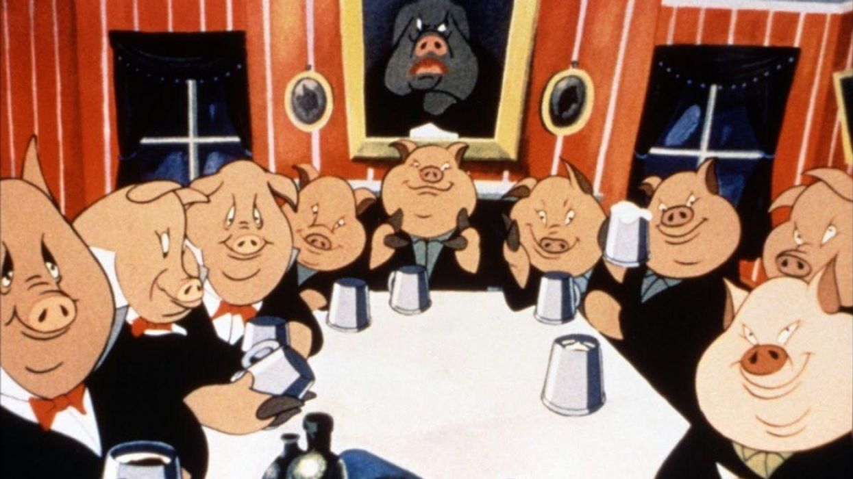 Not All Men Are Pigs: But the Ones Who Are, Are Swine.