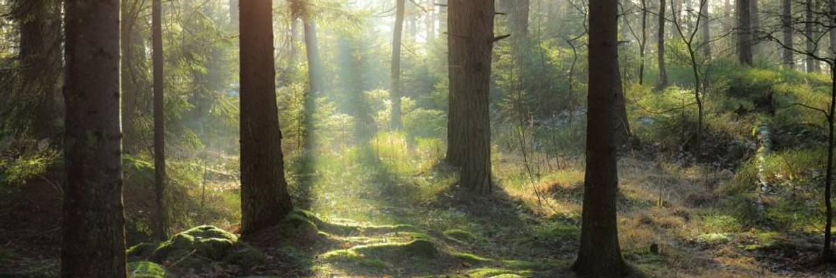 One World: The Wisdom of Wholeness