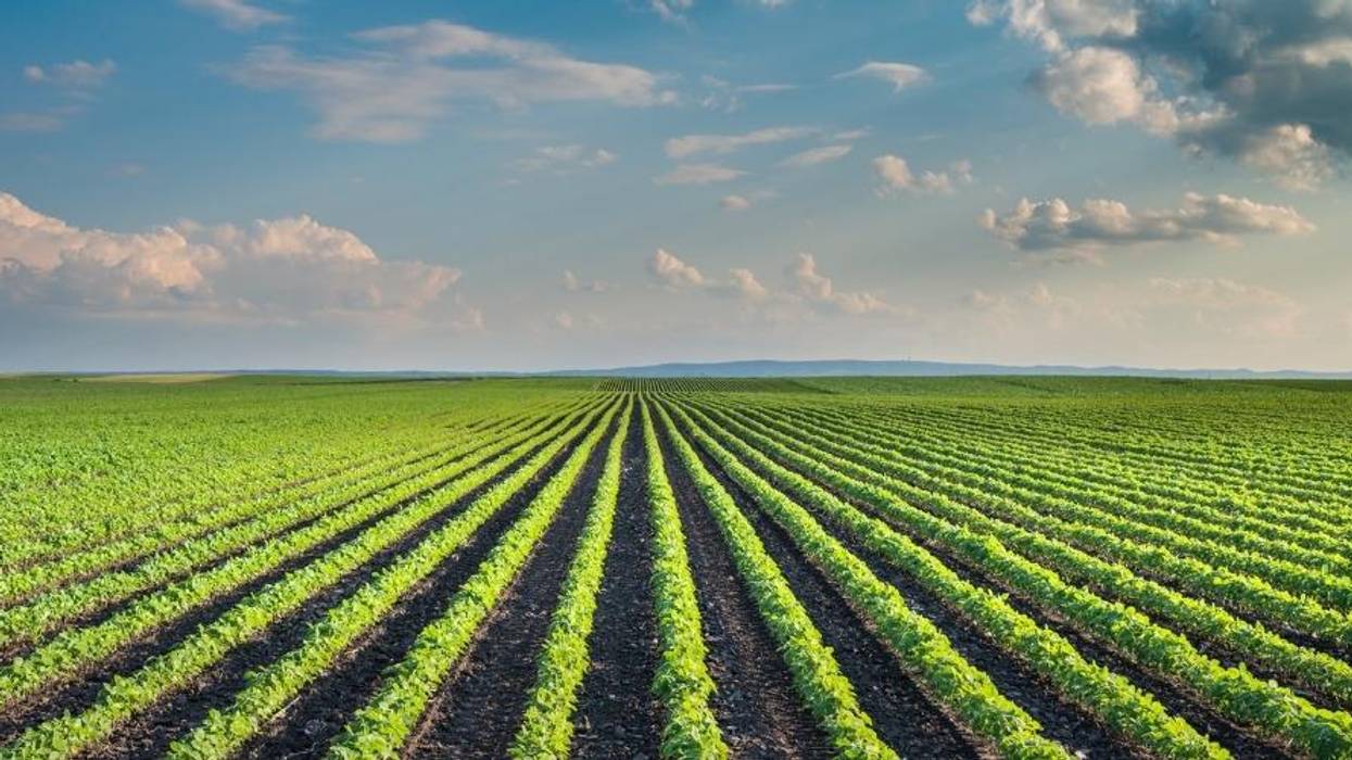 How Regenerative Agriculture Could Be Key to the Green New Deal