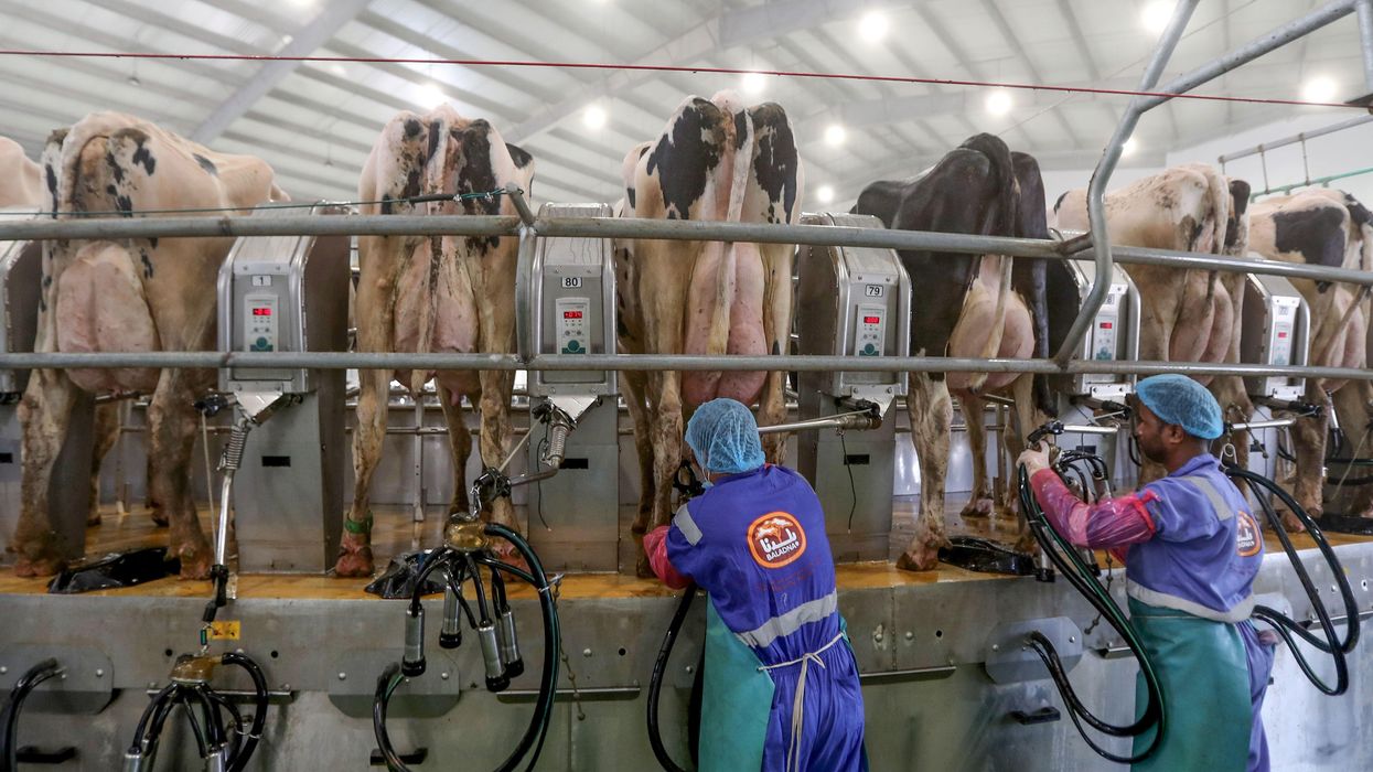 Cory Booker's Halt on Factory Farms Would Help the Climate