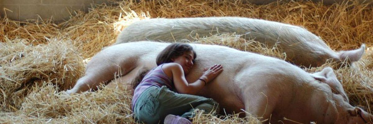 Farm Sanctuary: A Haven From the Animal Holocaust
