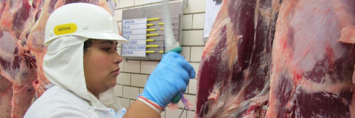 Cyberattack Against Globe's Largest Meat Company Shutters Slaughterhouses, Roils Markets Worldwide