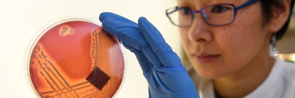 AUSTRALIA-HEALTH-HOSPITAL-DISEASE-SUPERBUG