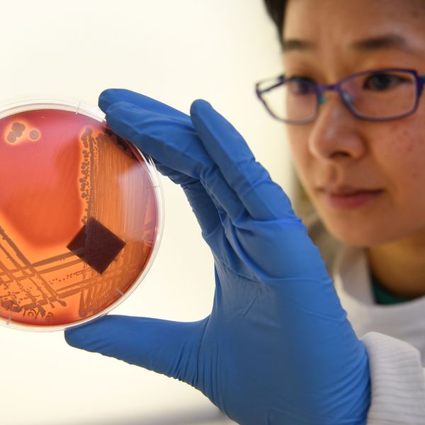 AUSTRALIA-HEALTH-HOSPITAL-DISEASE-SUPERBUG