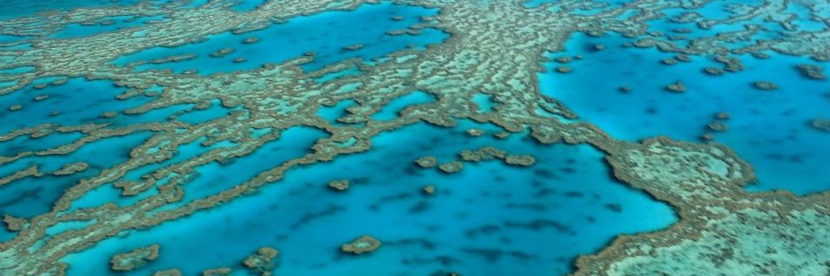 Allowing Corporate Sponsorship of Great Barrier Reef Likened to Naming Hospital After Tobacco Company