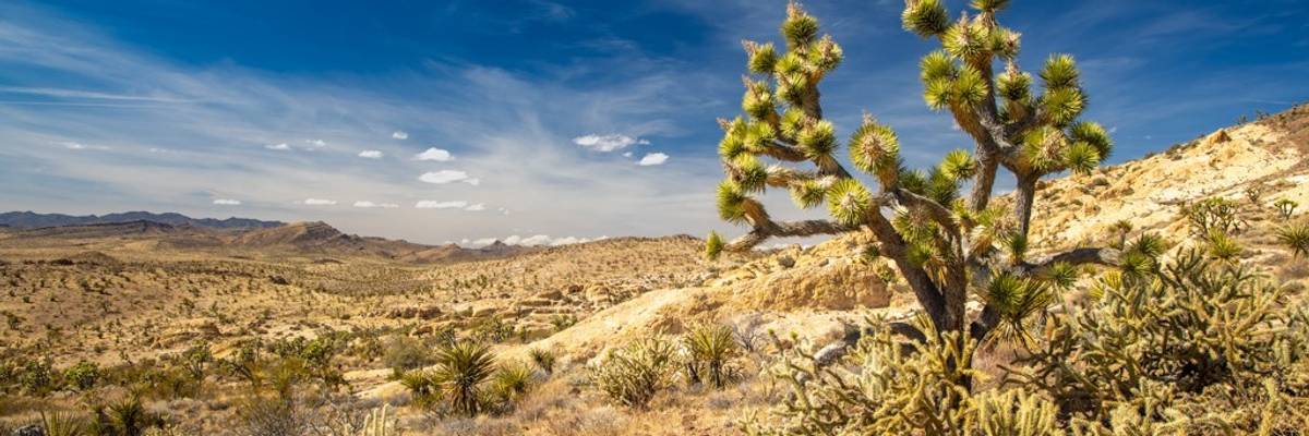 Avi Kwa Ame National Monument