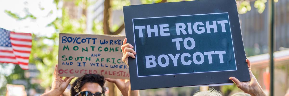 BDS movement