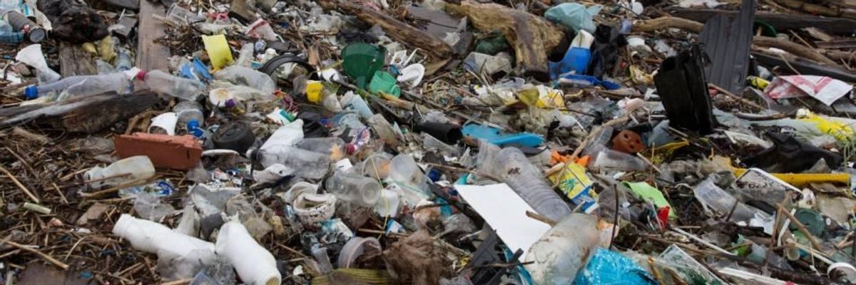 Of Animals and Bees and Flowers Wild as Earth Day Nears