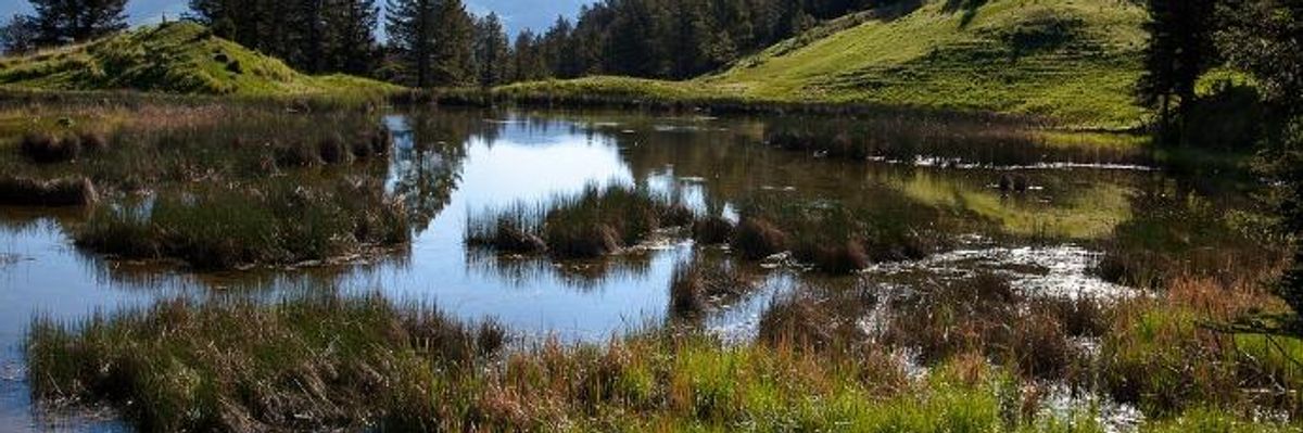 Making America Great Again Requires Acting on Scientific Knowledge