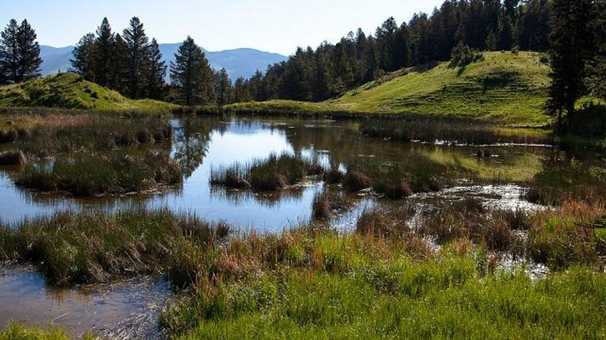 Making America Great Again Requires Acting on Scientific Knowledge