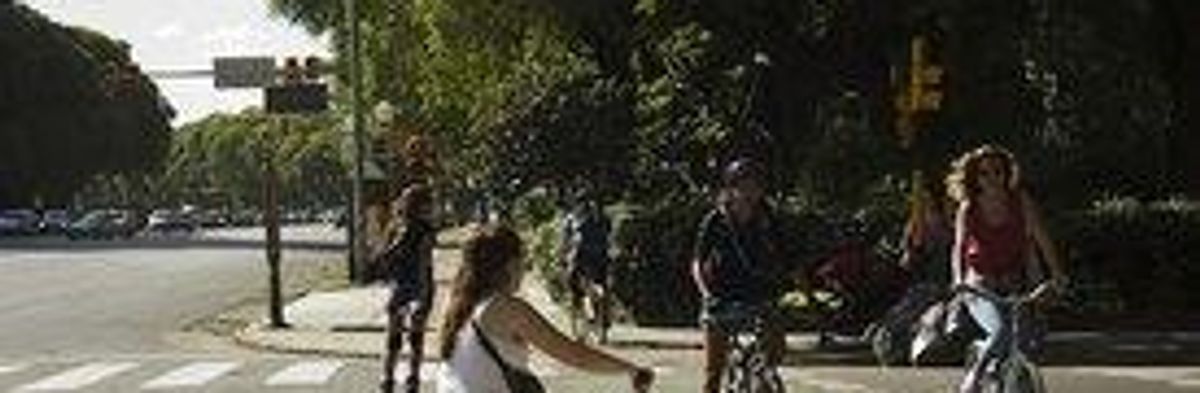 Bicycles No Longer Mere Recreation in Argentine Capital