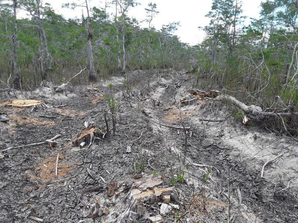 Big Cypress National Preserve oil exploration damage