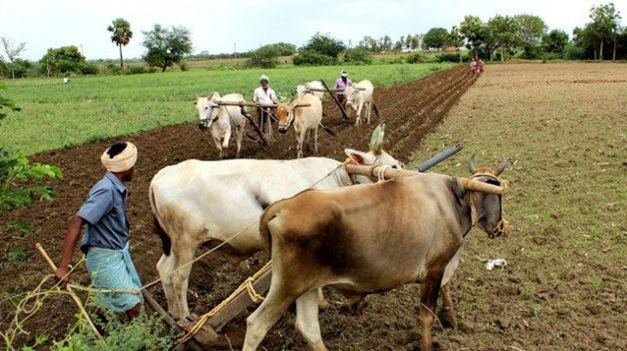 We Need Biodiversity-Based Agriculture to Solve the Climate Crisis