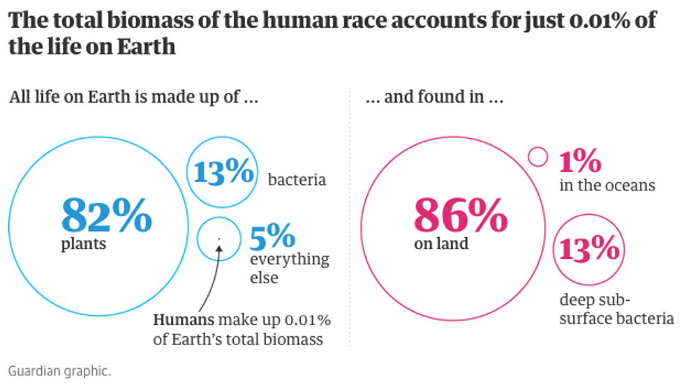 biomass of humans v everything else