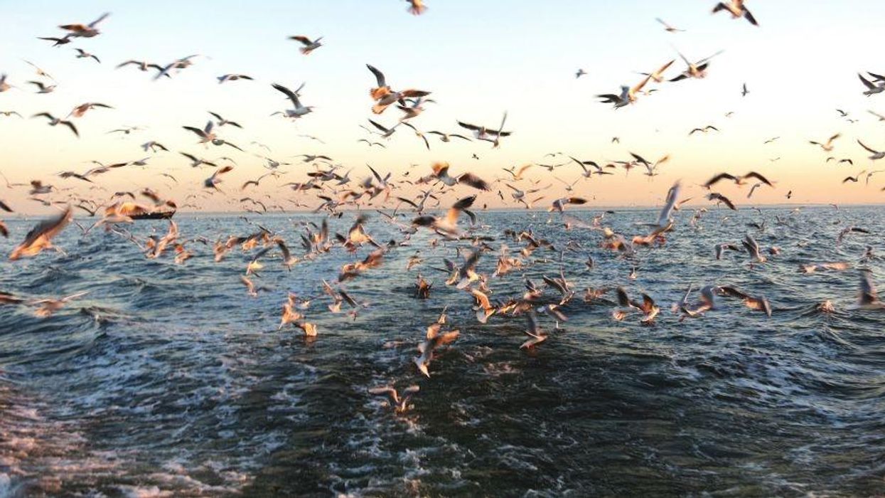 A Visit to Heaven and Hell