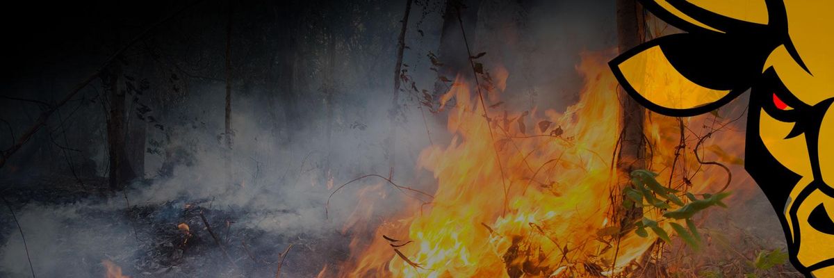 Blame Wall Street design by Poonam Whabi