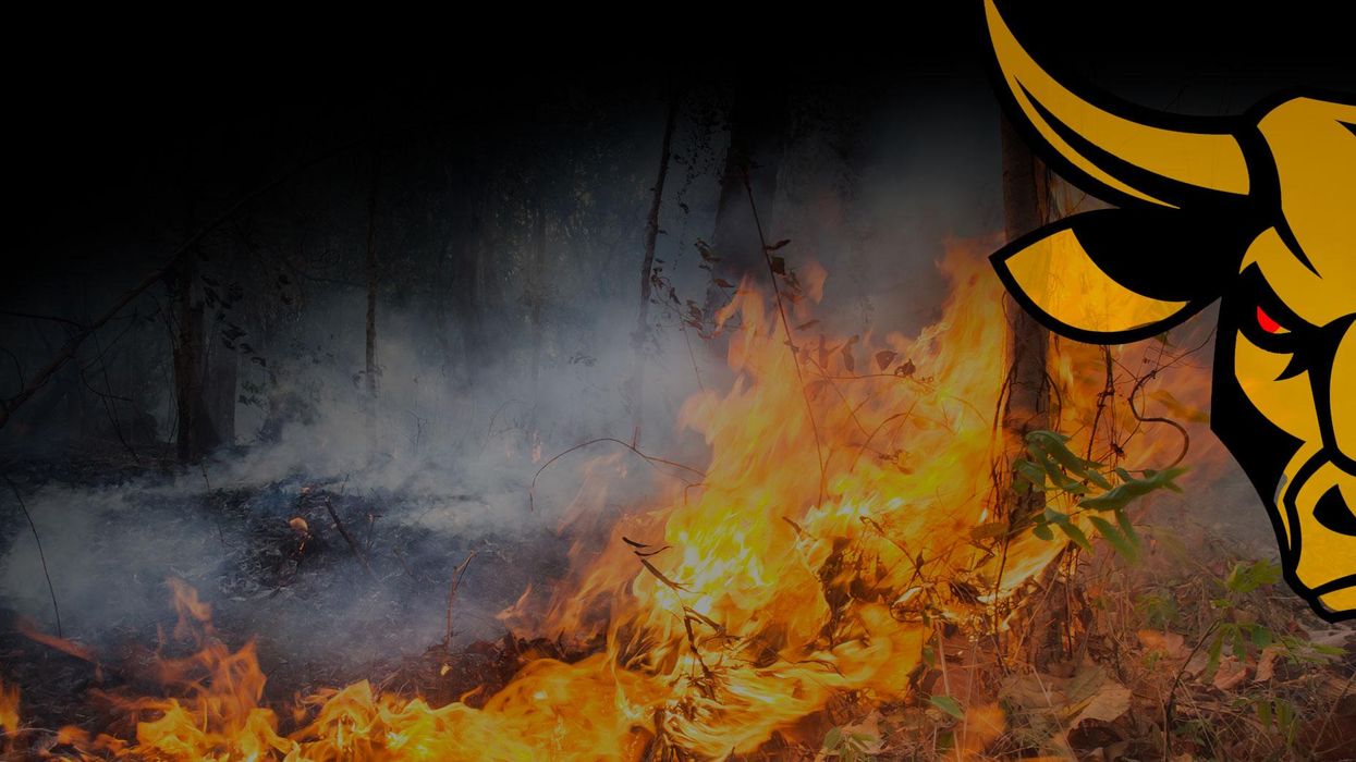 Blame Wall Street design by Poonam Whabi