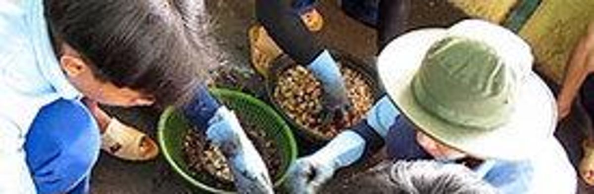 US, World Bank and Donors Fund Forced Labor in Vietnam