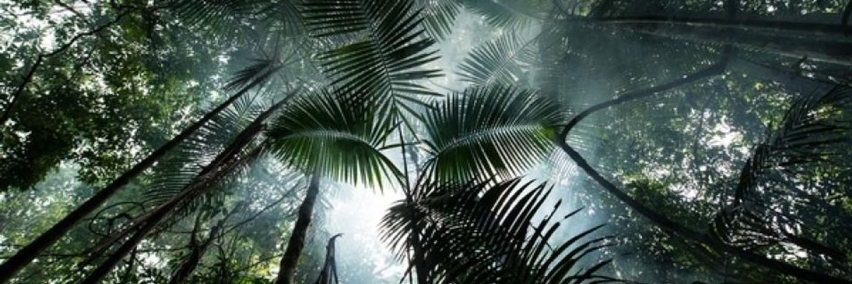 Bolsonaro of Brazil: Slayer of the Amazon