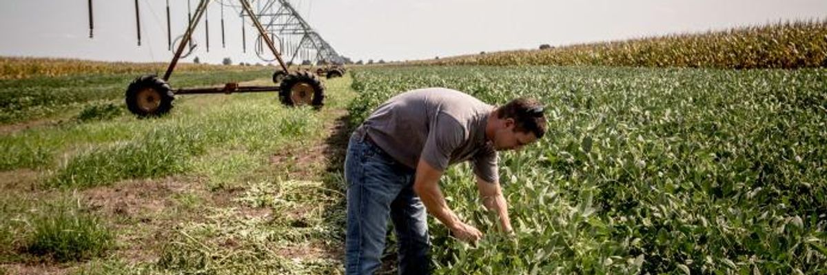 'Victory for Farmers' as Jury Awards Grower $265 Million in Damages From Drift of Monsanto's Dicamba