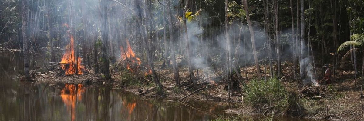 Brazil deforestation.