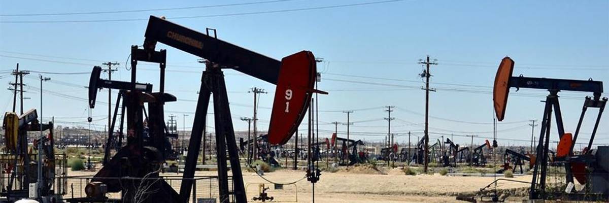 Keeping Fossil Fuels in the Ground is the Only Way to Save Polar Bears Ravaged by Climate Change