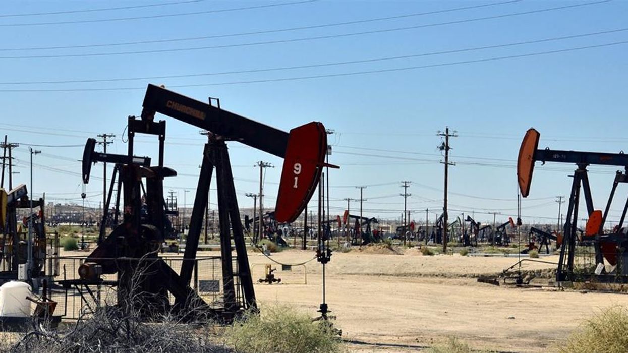 Keeping Fossil Fuels in the Ground is the Only Way to Save Polar Bears Ravaged by Climate Change