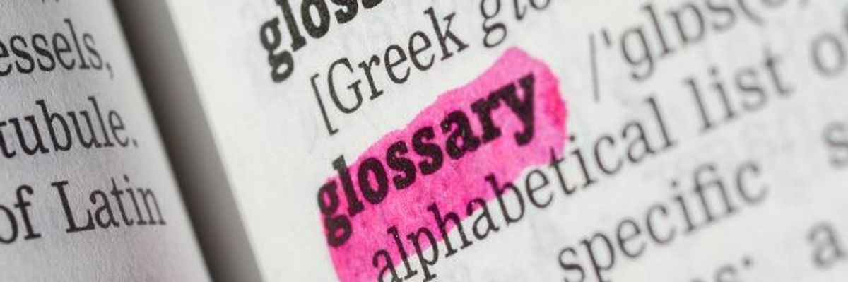 What They Say vs. What They Mean: An Inside-the-Beltway Glossary