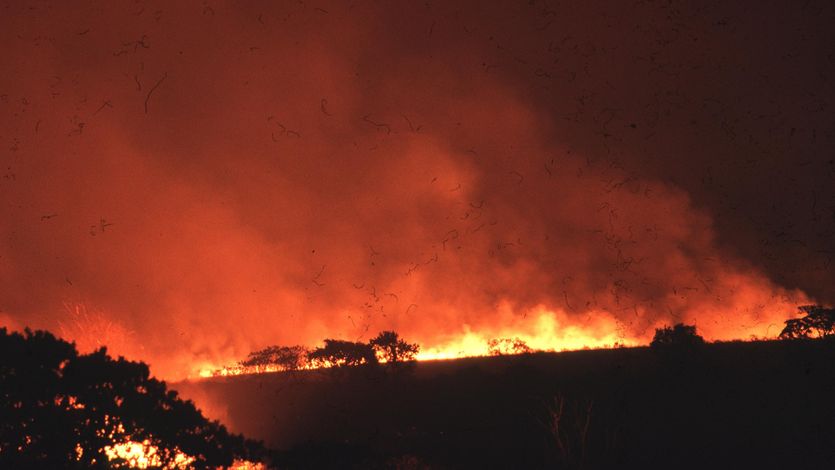 Burning vegetation in the Cerrado