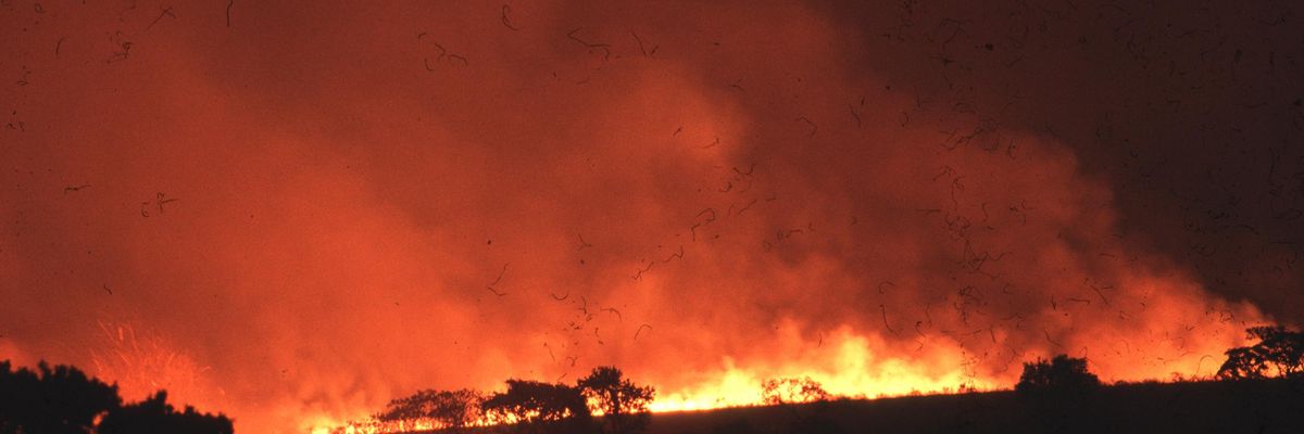 burning vegetation in the Cerrado
