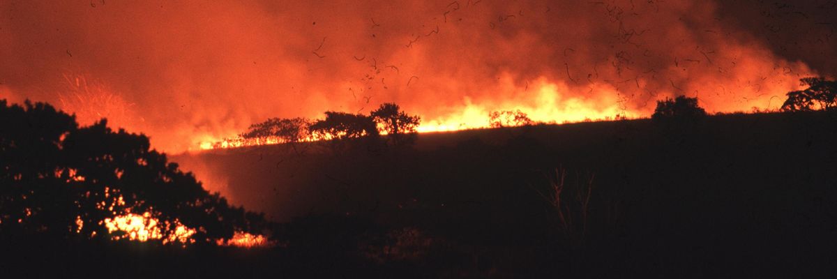 Burning vegetation in the Cerrado
