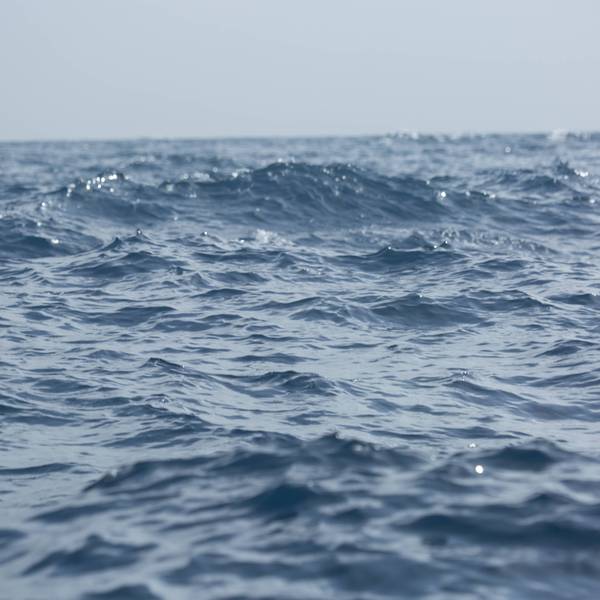 Calm Blue Ocean Water with Sparkling Sunlight Reflections and Hazy Horizon