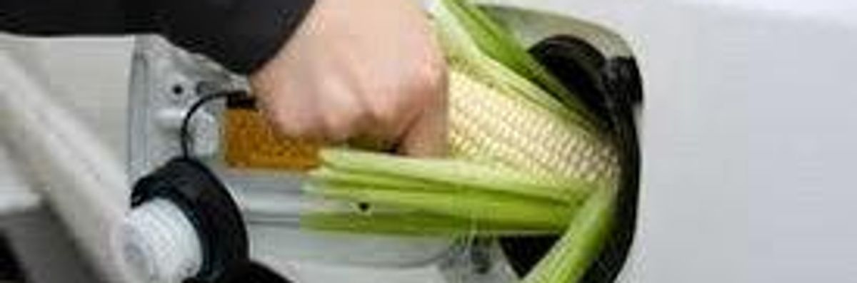 GM Corn Being Developed for Fuel Instead of Food