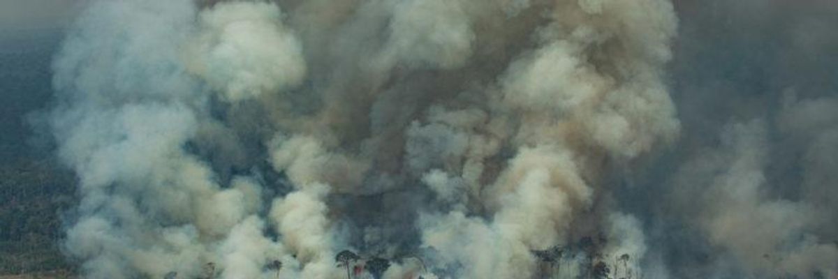 Brazil Isn't the Only Far-Right Government Destroying the Planet