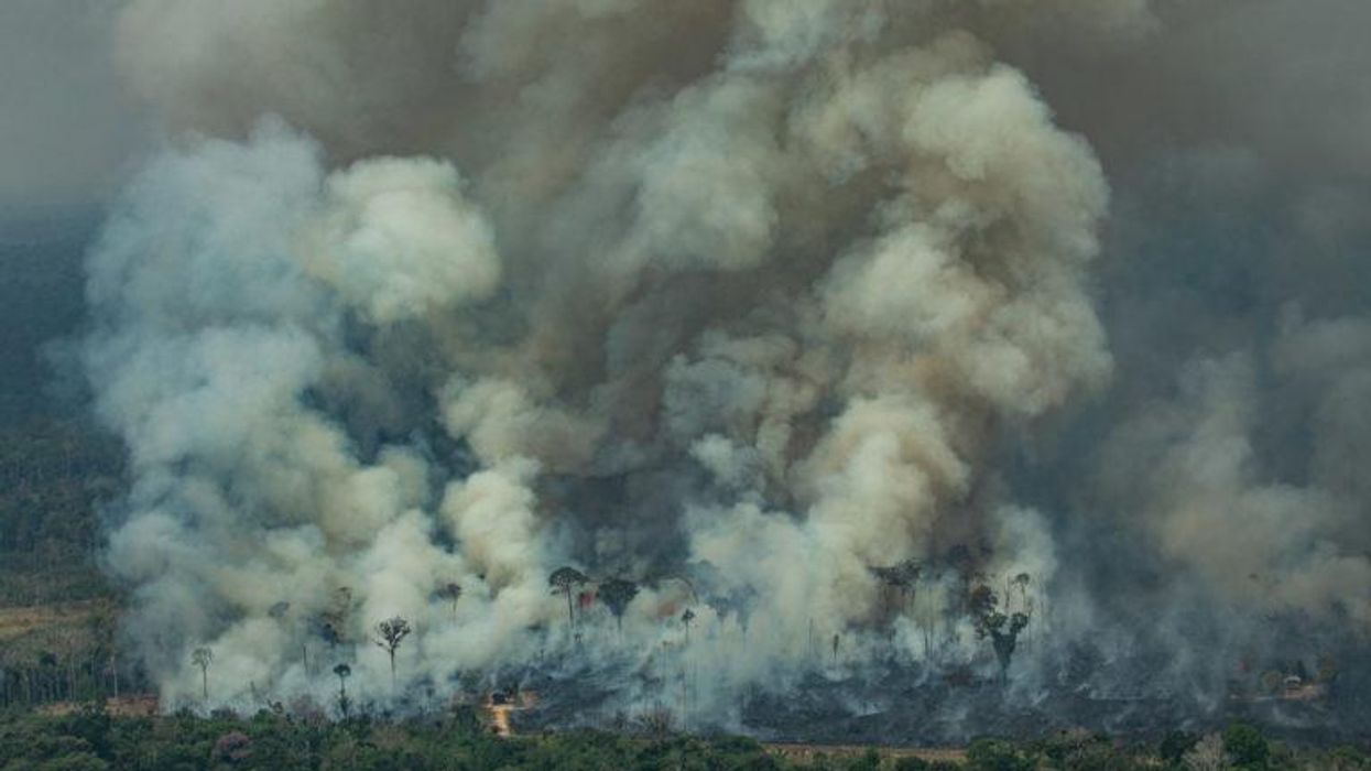 Brazil Isn't the Only Far-Right Government Destroying the Planet