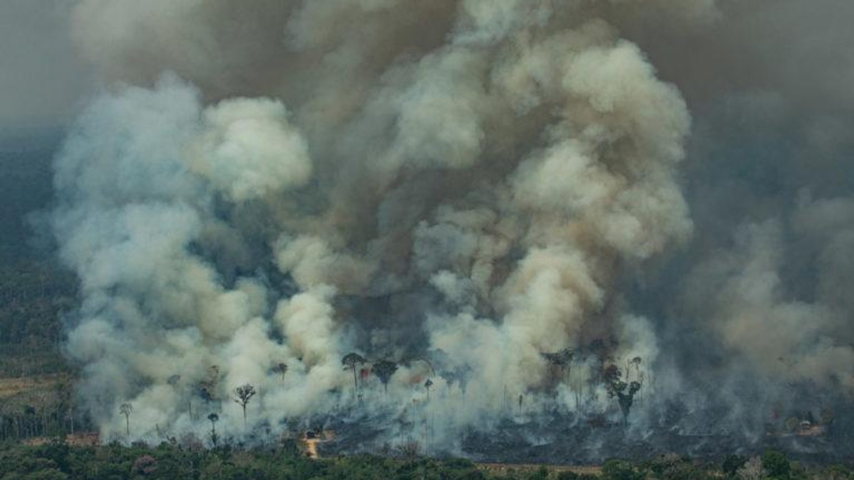 Brazil Isn't the Only Far-Right Government Destroying the Planet