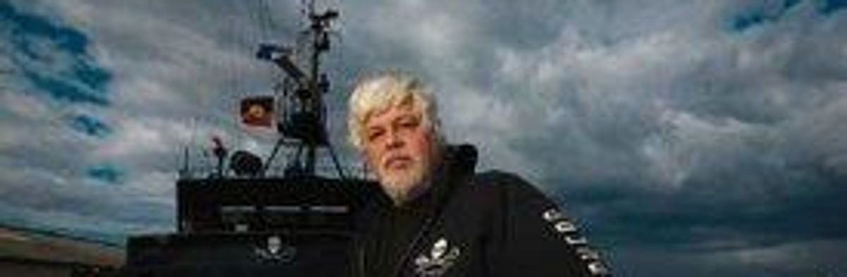 German Court Seeks Extradition for Missing Activist, Sea Shepherd Captain