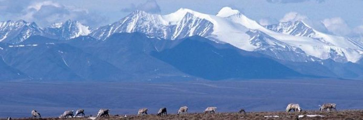 'We Will Not Give Up,' Say Indigenous Groups, as Trump Admin Gets Closer to Fossil Fuel Pillage of Arctic Refuge