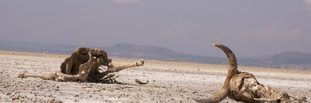 Climate Change and the Coming 'Humanitarian Crisis of Epic Proportions'