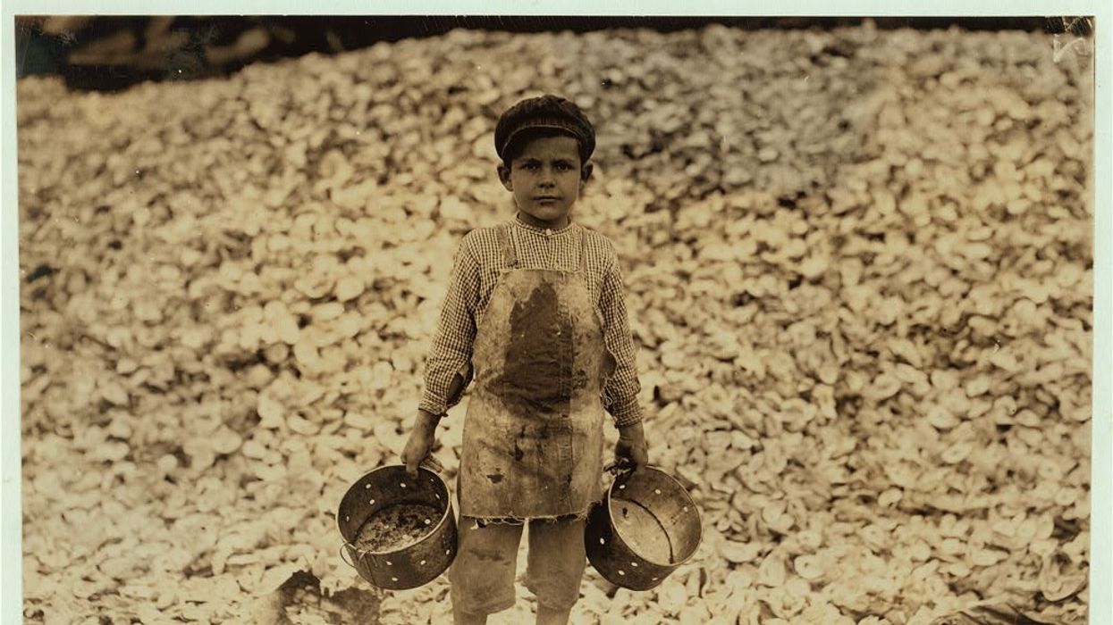 Child shrimp-picker photographed by Lewis Hine in 1911