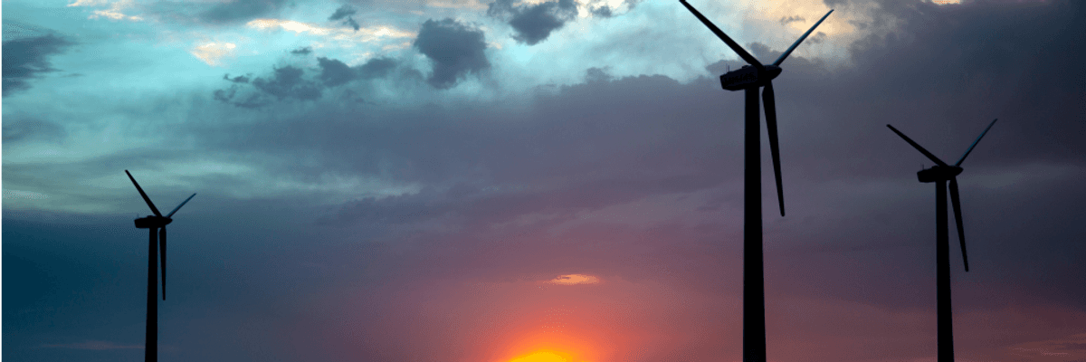 Can China Save the Planet?