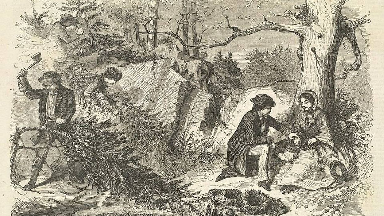 Christmas -- Gathering evergreens