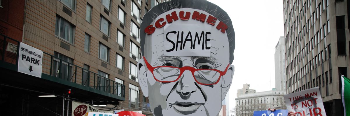 Chuck Schumer cut-out at a protest.