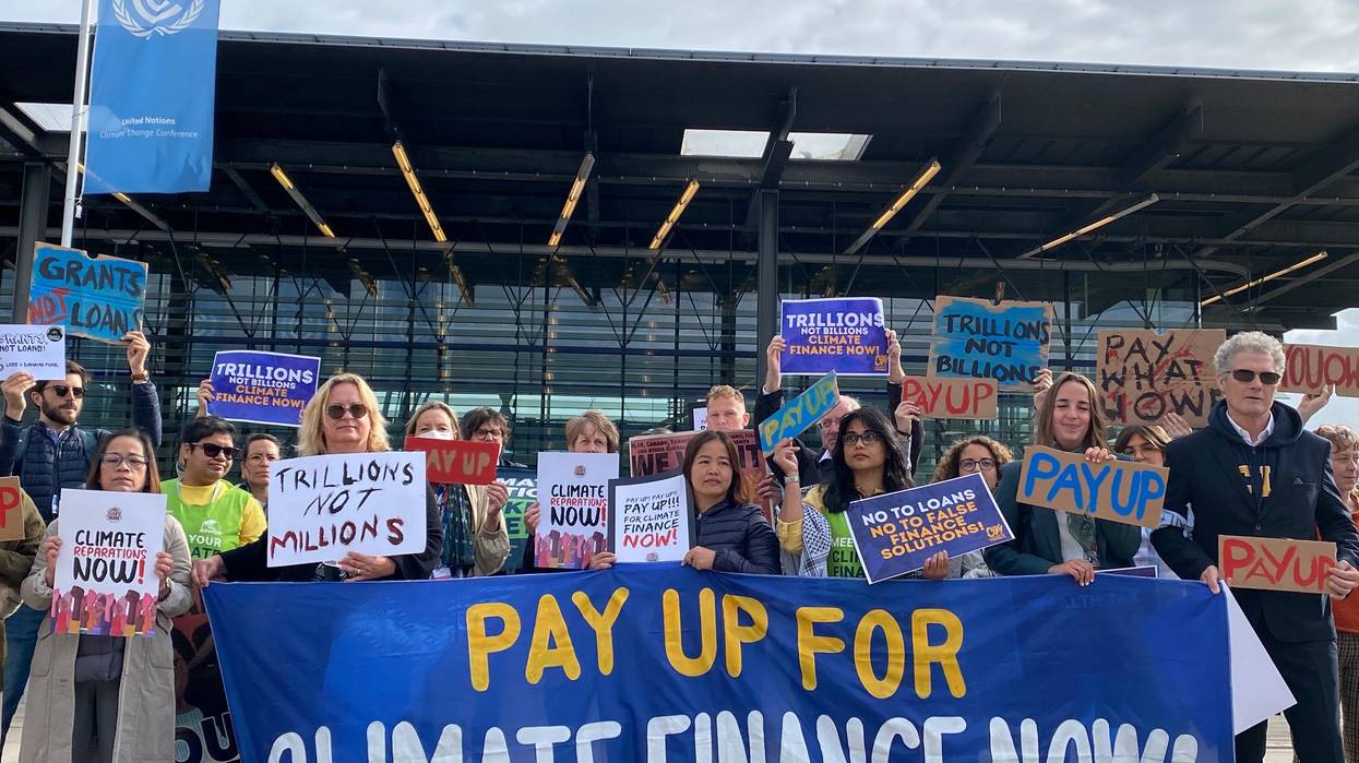 Climate activists protest in Bonn