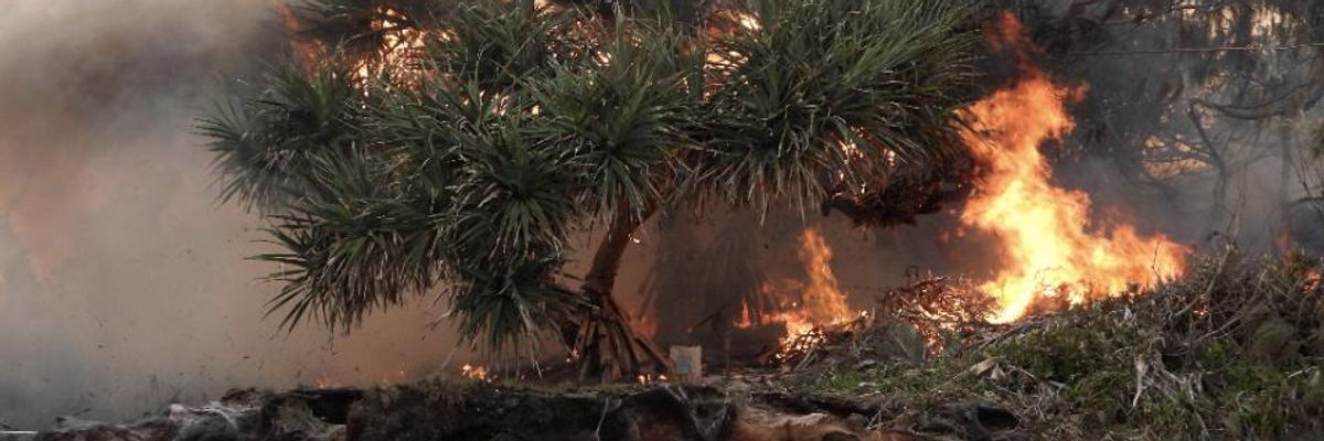 'Can Anybody Still Deny That We Are Facing a Dramatic Emergency?' Asks UN Chief at Climate Summit