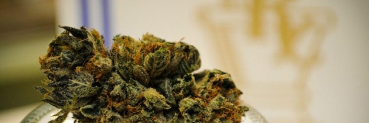 Confirming Big Pharma Fears, Study Suggests Medical Marijuana Laws Decrease Opioid Use