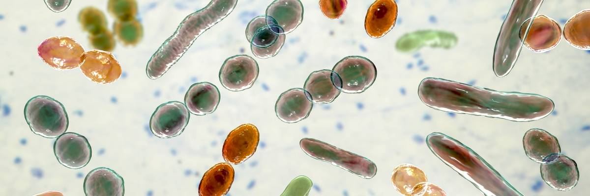 Computer illustration of bacteria of different shapes.