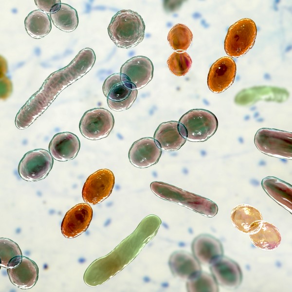 Computer illustration of bacteria of different shapes.