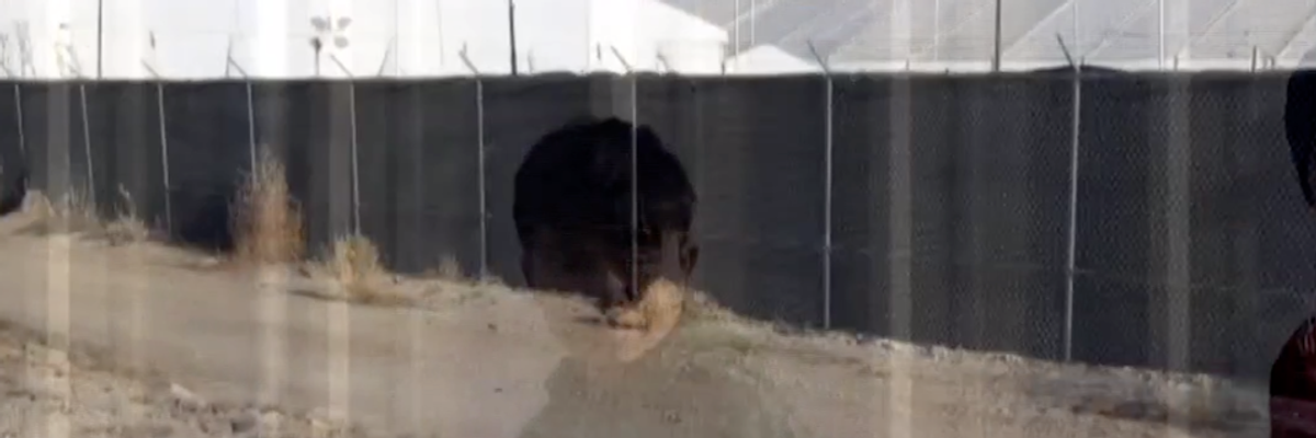 Predicting Even More Horrifying Conditions, Historical Journalist Describes Parallels Between Trump Migrant Detention and Concentration Camps